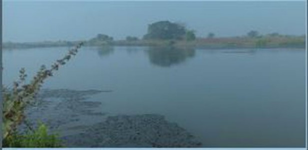 उरण येथे मल्टीमॉडेल लॉजिस्टीक पार्क उभारणार? 100 एकर जागेवर भराव? शेतकरी चिंताग्रस्त