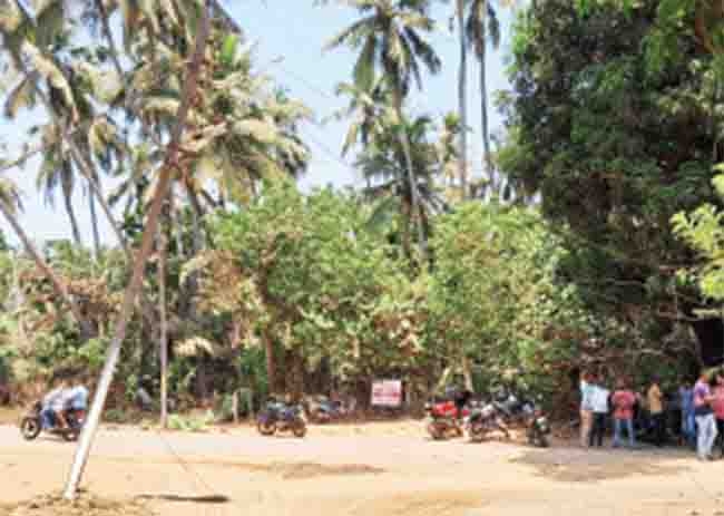 shreewardhan