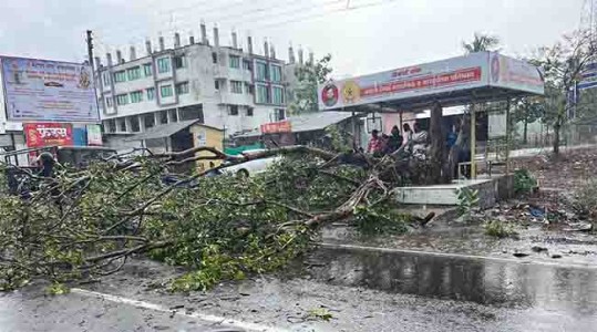 अवकाळी पावसाने सुधागडला झोडपले , वादळी वार्‍यासह तुफान पाऊस