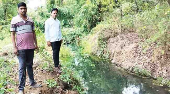 कार्बन कंपनीतील दूषित सांडपाणी शेतात , तळवली लोहप गावातील शेतीचे नुकसान; शेतकरी आक्रमक