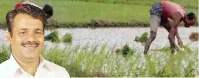 alibag 