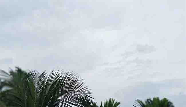 shreewardhan