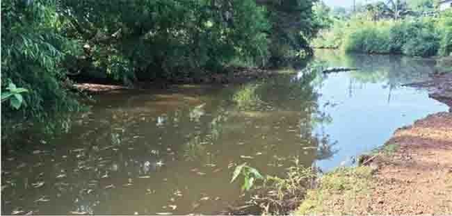 shreewardhan