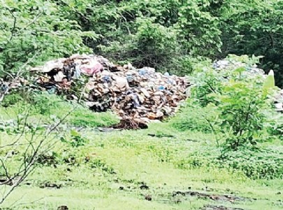श्रीवर्धन | म्हाबदे घाटामध्ये कचर्‍याचा ढीग, प्रचंड दुर्गंधी ; वन विभागाकडून चौकशी होण्याची गरज