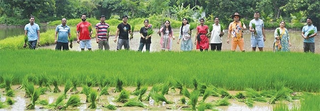 alibag 