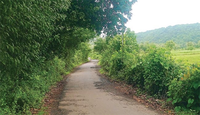 kolad