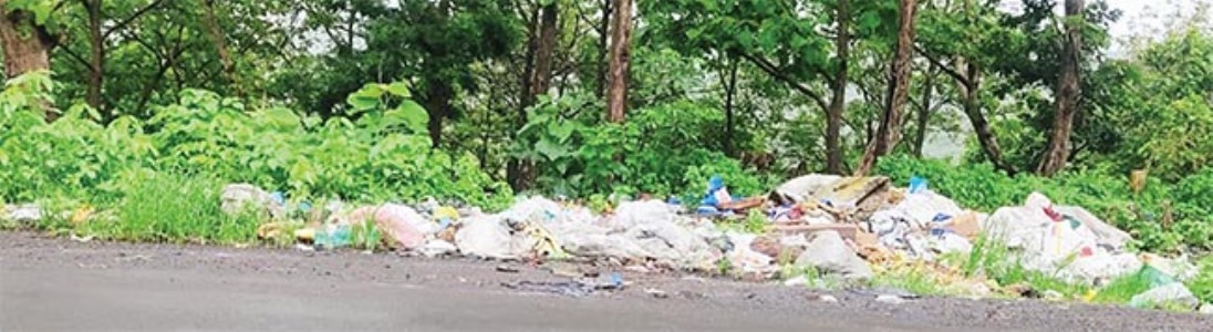 कार्लेखिंड येथे दुर्गंधीयुक्त कचर्‍याचे ढिग , प्रवाशांना नाक बंद करुन करावा लागतो प्रवास