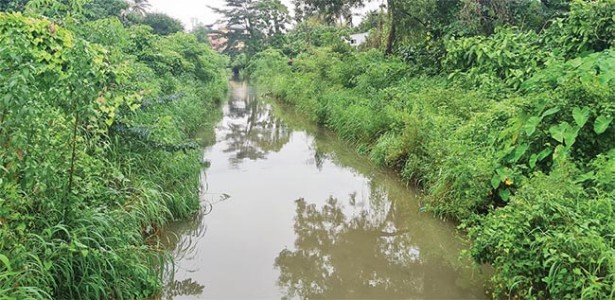 माणगाव येथील बहुपयोगी कालव्याची दुर्दशा , लोकप्रतिनिधींचे दुर्लक्ष; नागरिकांमधून तीव्र संताप