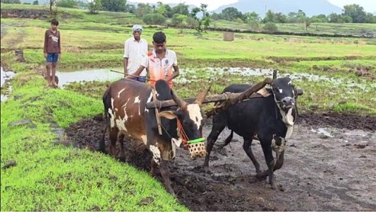 धेरंड-शहापूर औद्योगिक क्षेत्र पोहोच रस्त्यासाठी संमती करार करण्यासाठी अंतिम मुदत