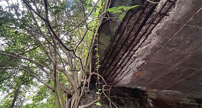 shreewardhan