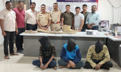 पेण । छत्रपती शिवरायांच्या पुतळ्यासाठीच्या , पंचधातू साहित्याची चोरी; दोघांना अटक