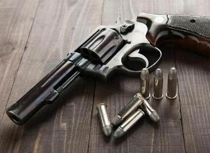पोलादपूरात जीपमधून बंदूक, 10 काडतूसे जप्त ; सामाजिक कार्यकर्त्यांच्या सतर्कतेमुळे पोलिसांची कारवाई