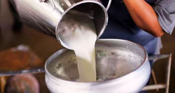 तळोजातील दूध प्रकल्पांवर एफडीएचा बडगा; तीन परवाने निलंबित