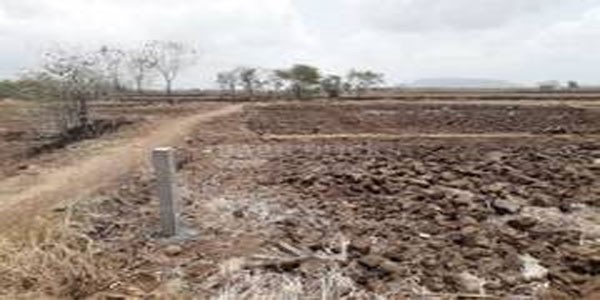 उरण | पुनाडेची सरकारी जमीन खाजगी ट्रस्टला देण्याचा घाट ? पंचायत समिती सदस्या कविता पाटील यांचा आक्षेप