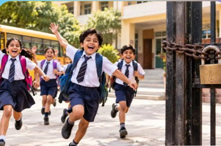 राज्यातील शाळांना दिवाळीची 15 दिवसांची सुट्टी