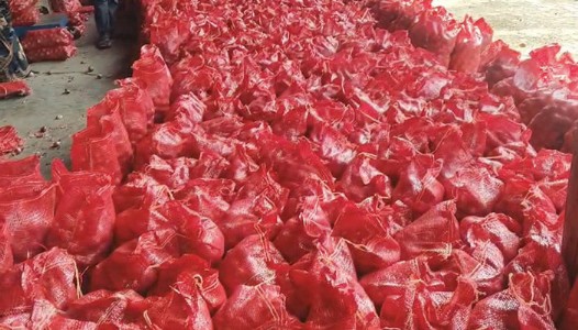 आखाती युद्धाचा फटका;जेएनपीएत कांदा अडकला