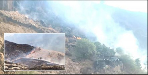 रायगडच्या वणव्यात प्रशासकीय अनास्थेची राख