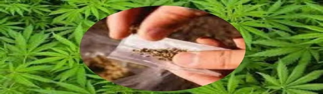 अलिबाग-सारळ येथे पोलिसांचा छापा , गांजा सेवनप्रकरणी दोघांवर एनडीपीएस कारवाई
